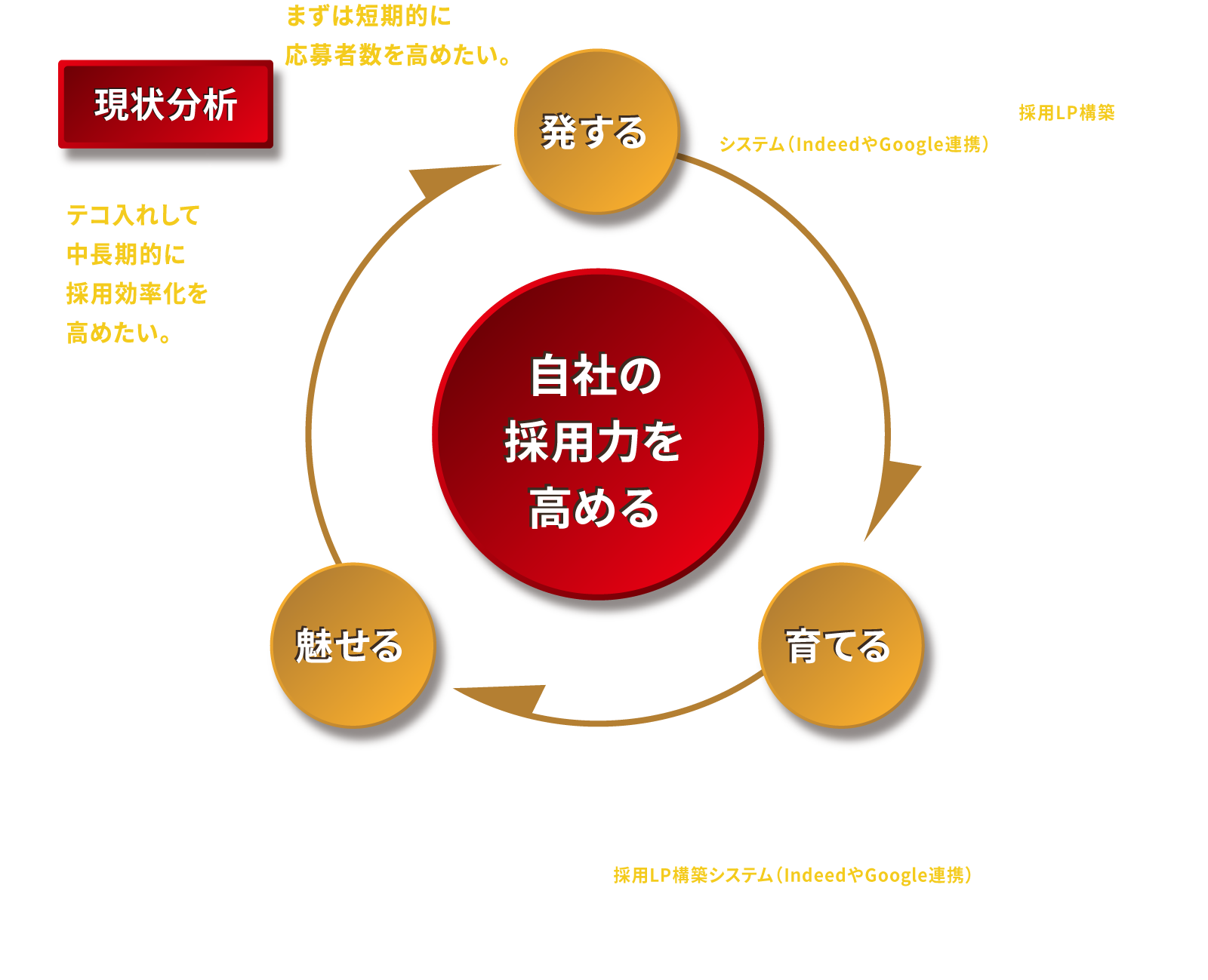 中長期的な採用力の強化