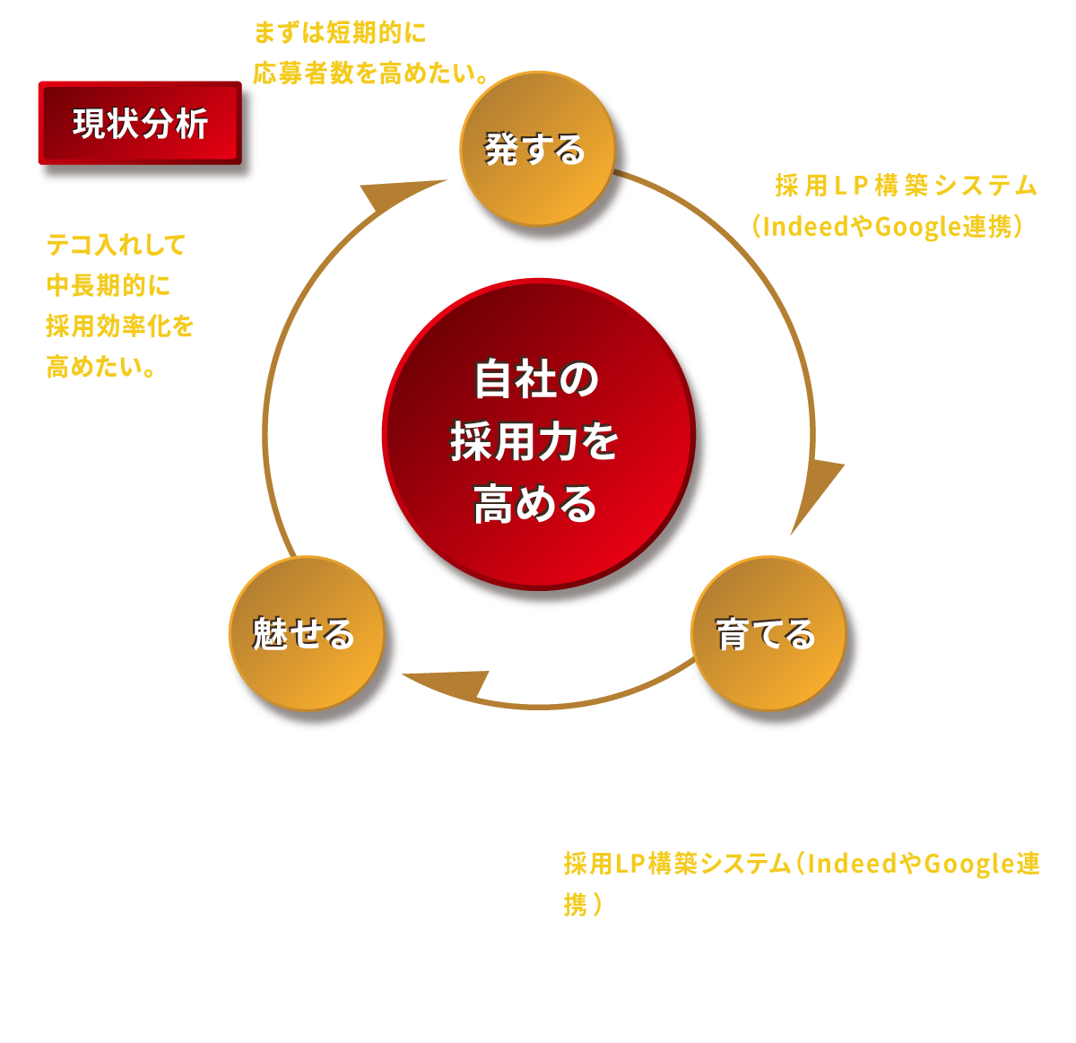 中長期的な採用力の強化
